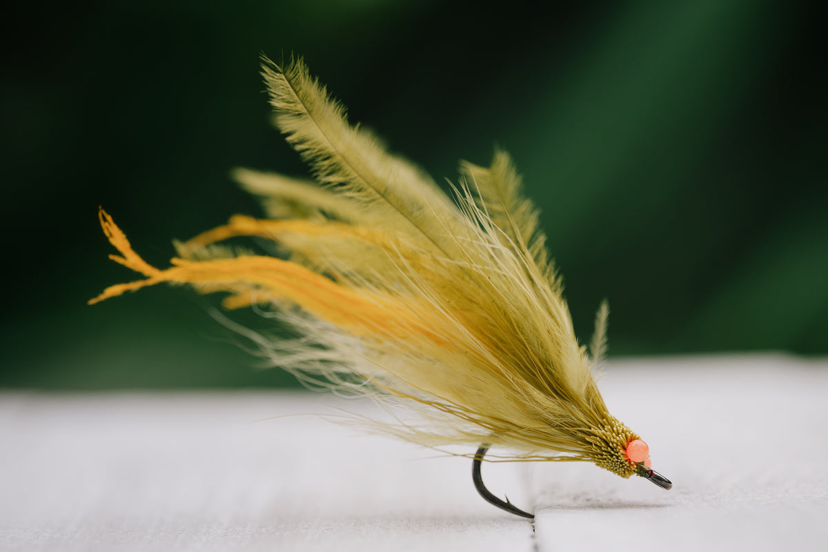Mouse - In Stock