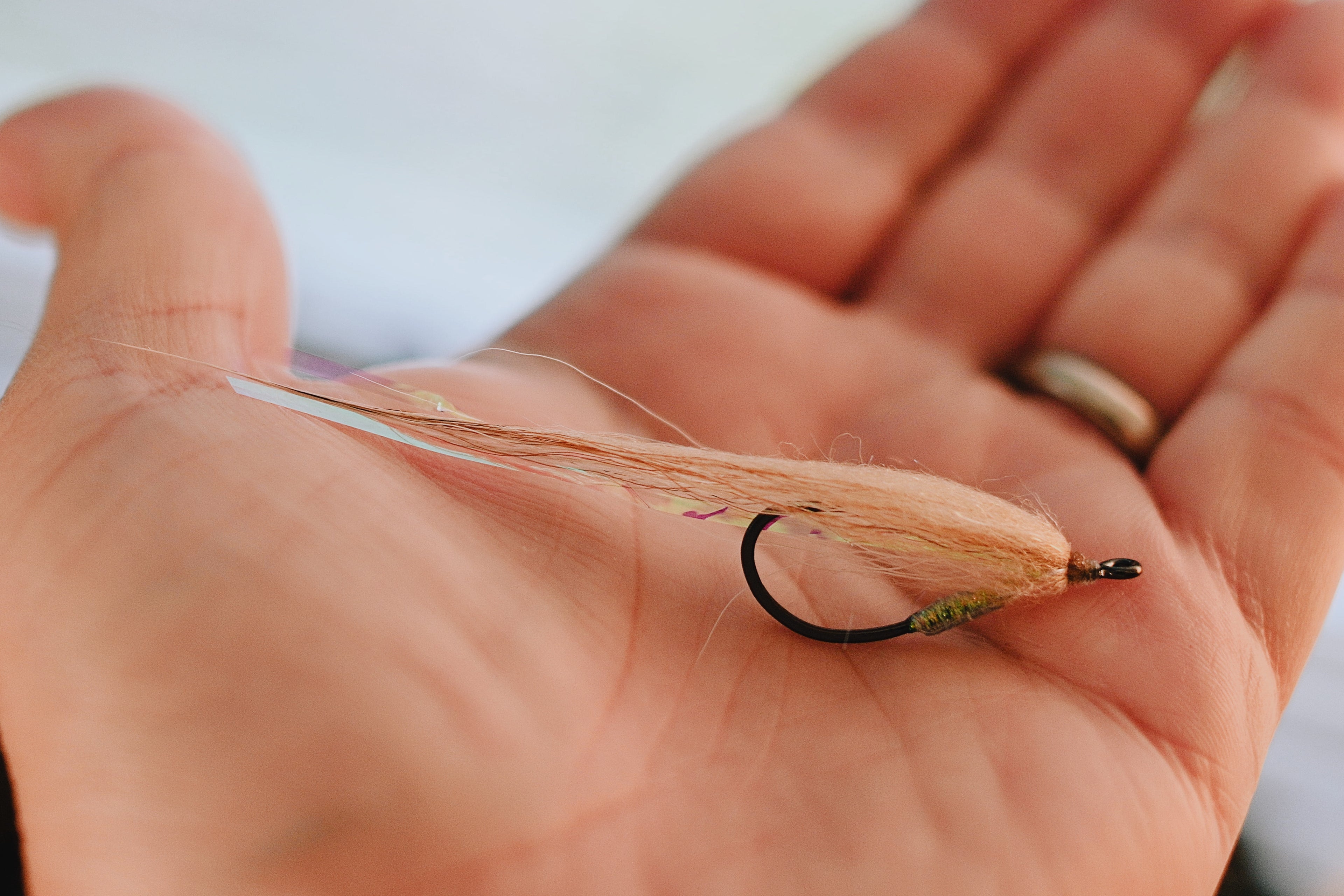 Beach Minnow - In Stock
