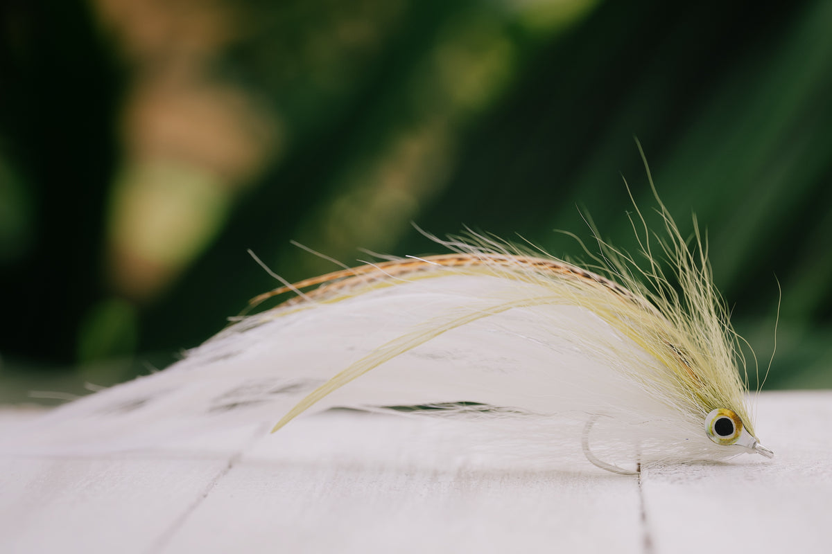 Late Season Beach Mullet - In Stock