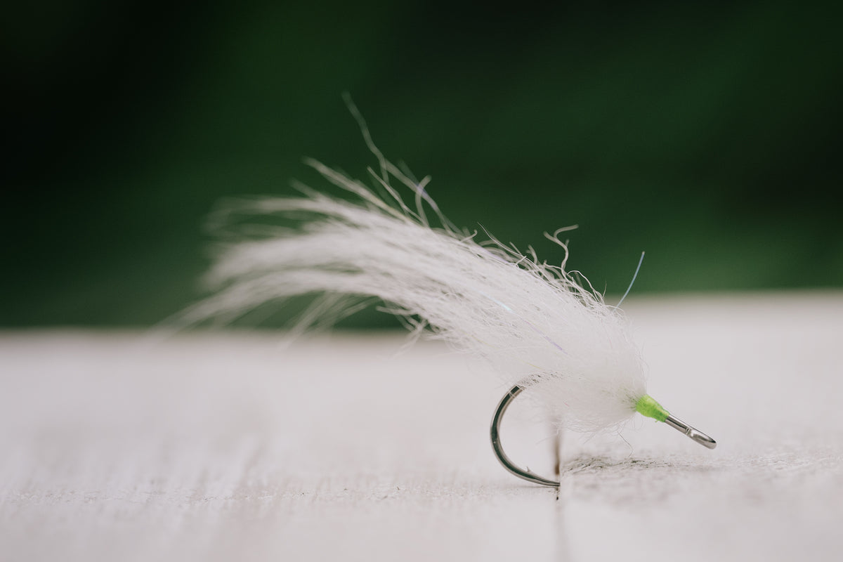 Snook Tapas - In Stock