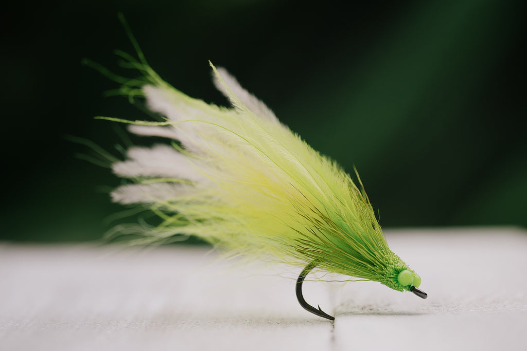 Mouse - In Stock