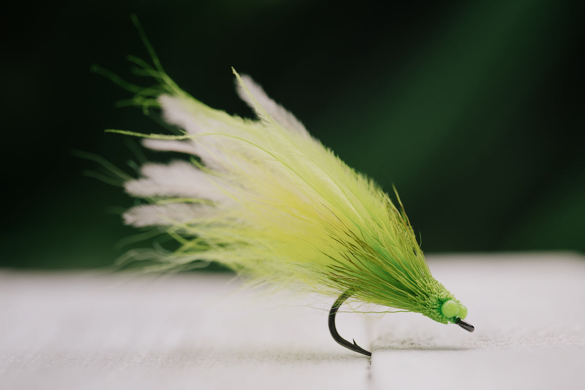 Mouse - In Stock
