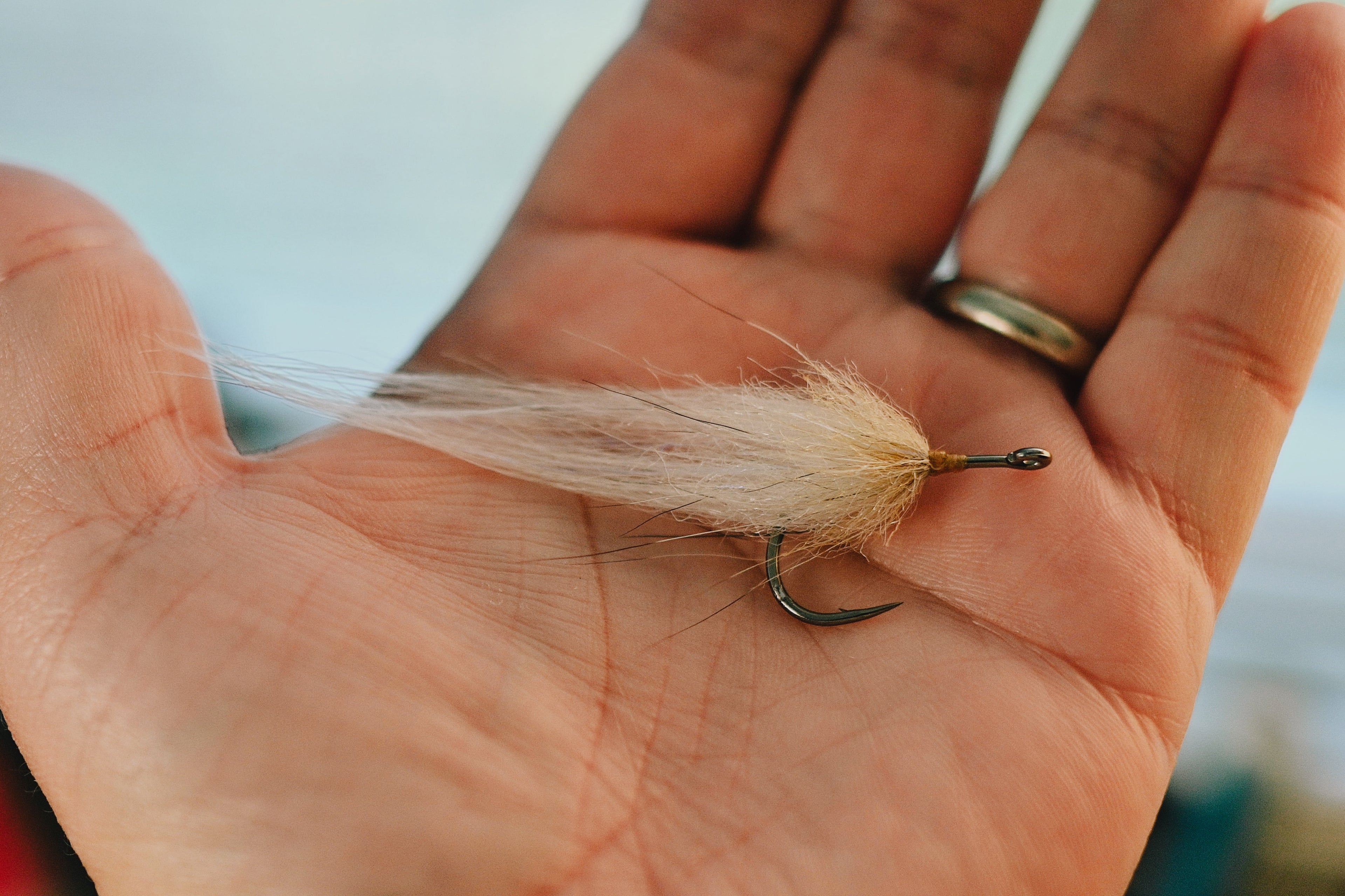 Snook Tapas - In Stock