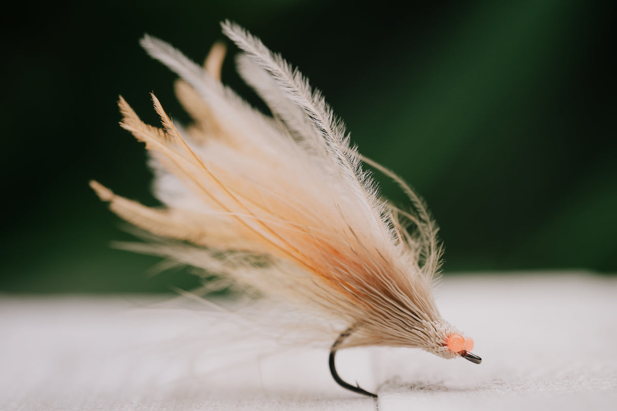 Mouse - In Stock