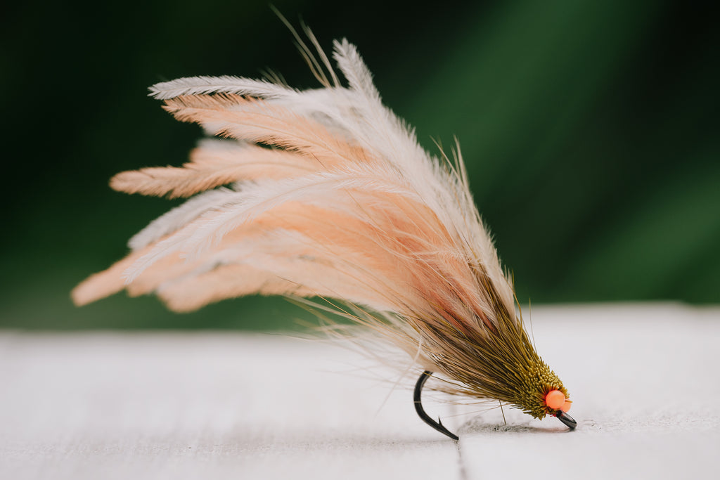 Mouse - In Stock