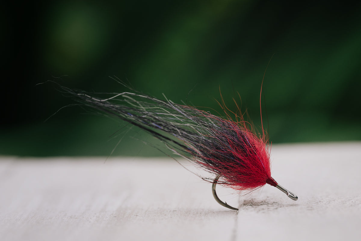Snook Tapas - In Stock