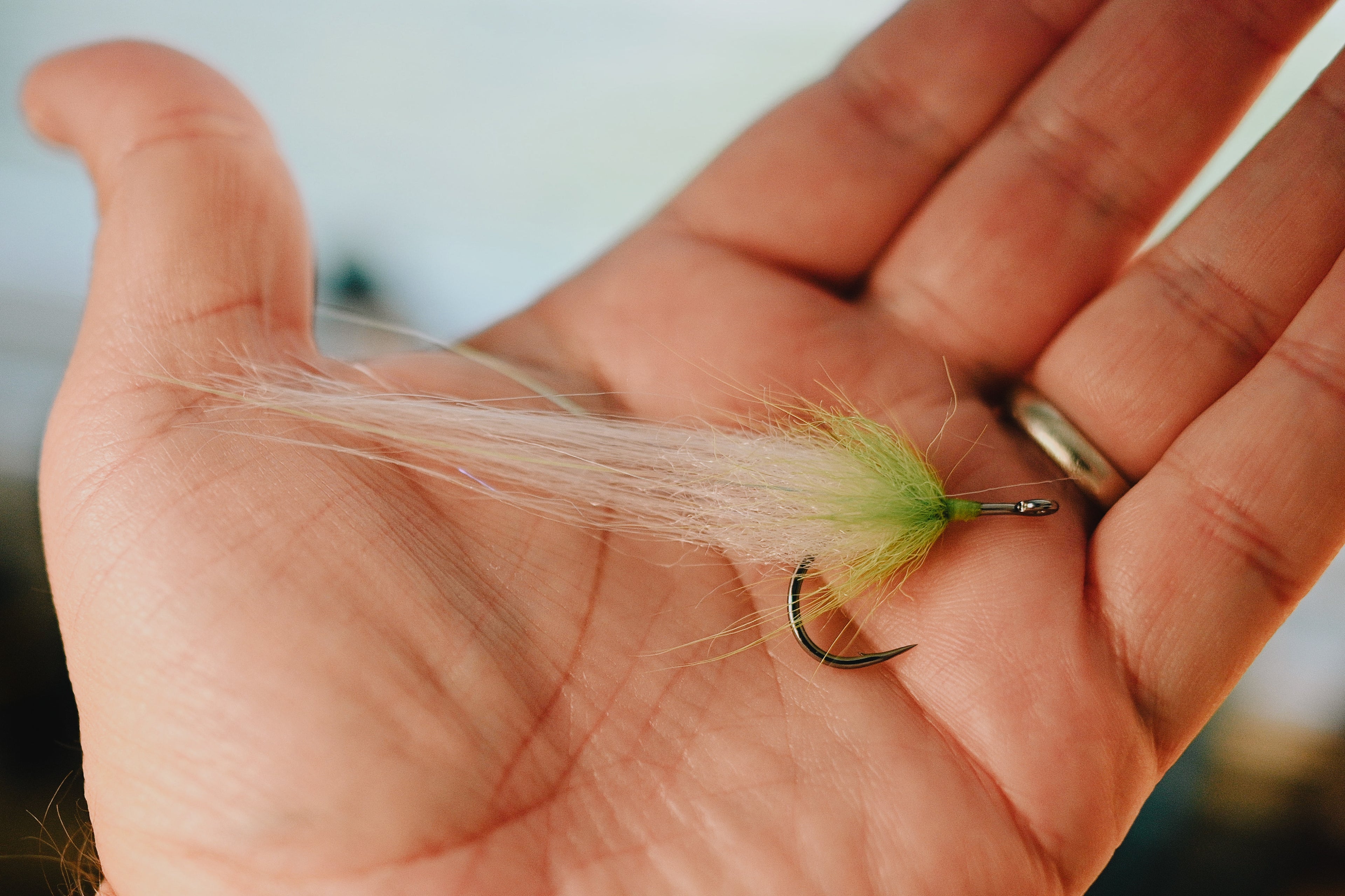 Snook Tapas - In Stock