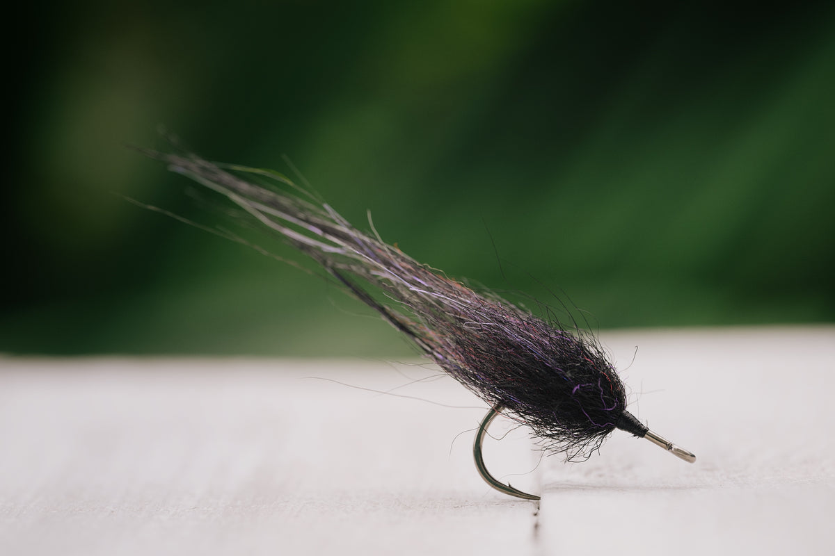 Snook Tapas - In Stock