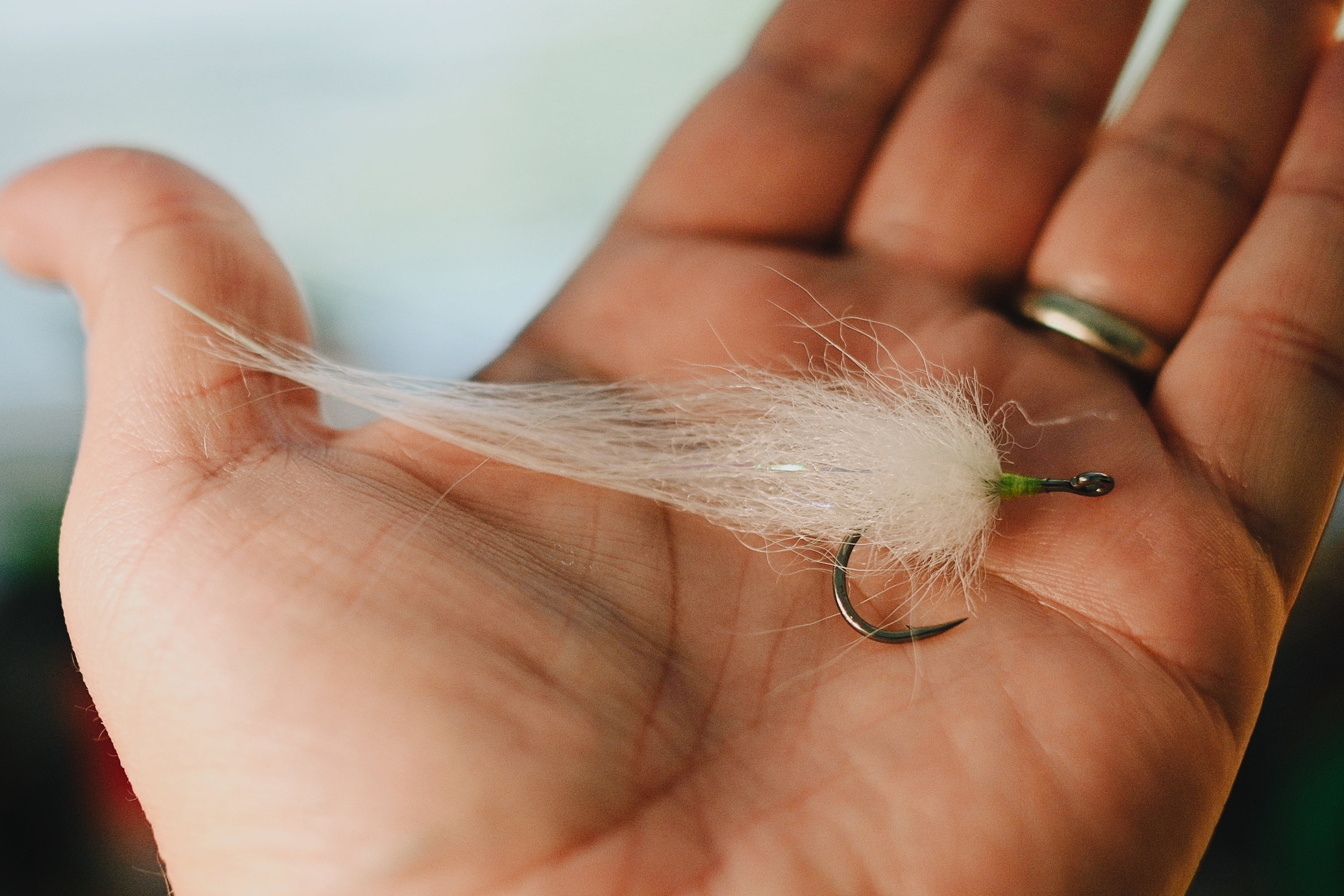 Snook Tapas - In Stock