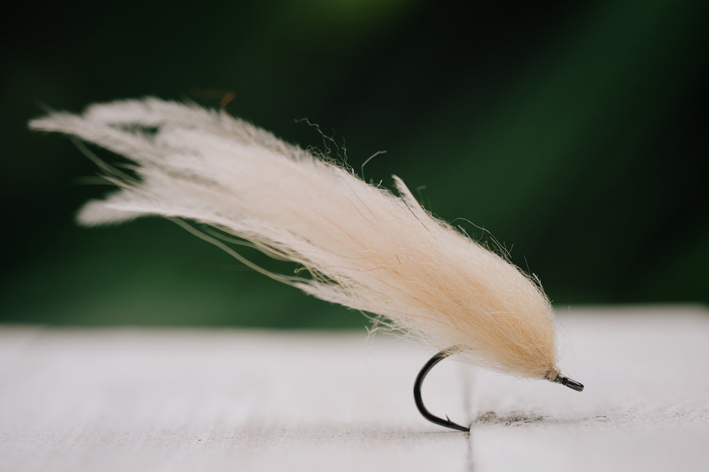 Taper Bug - In Stock