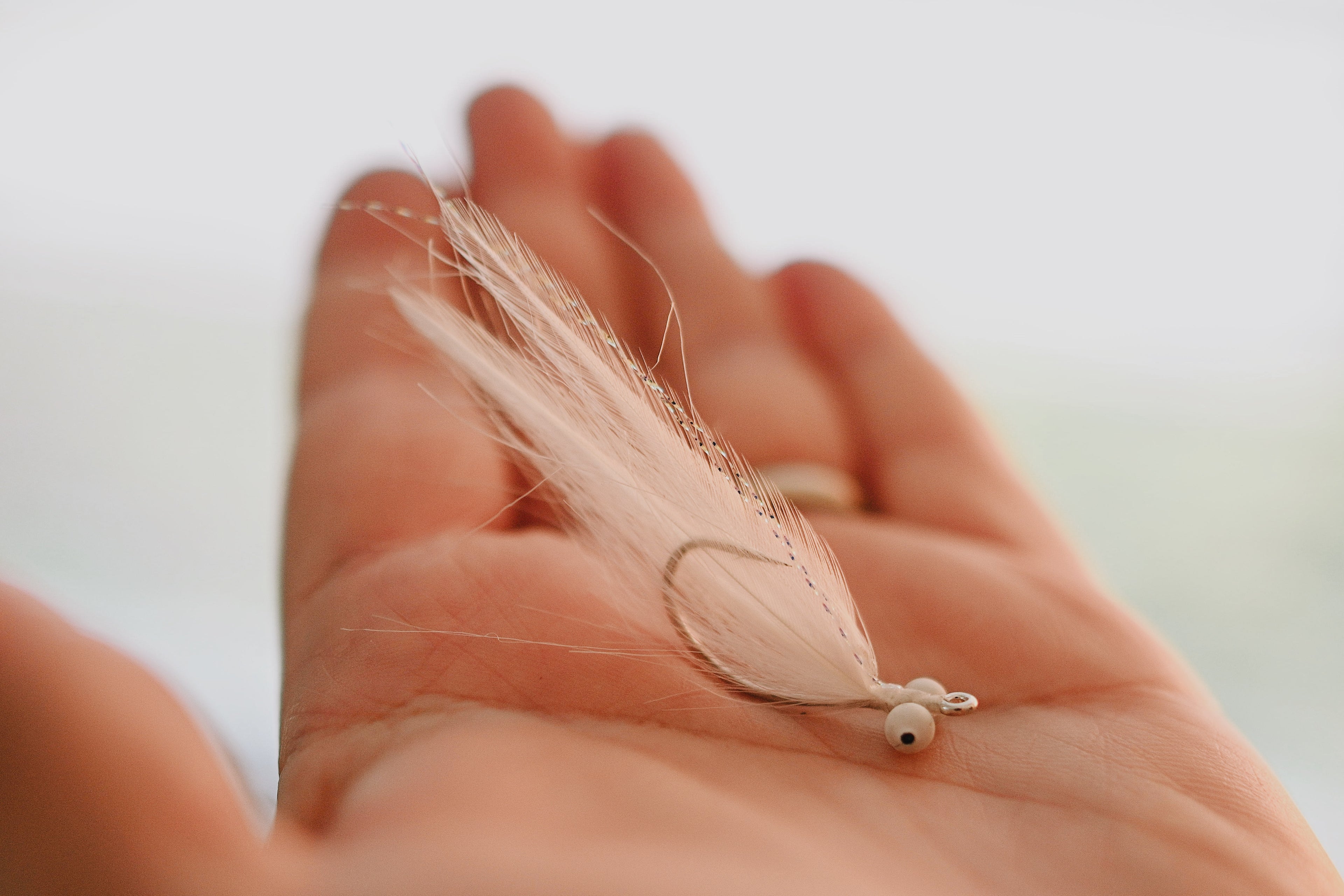 Beach Shrimp - In Stock