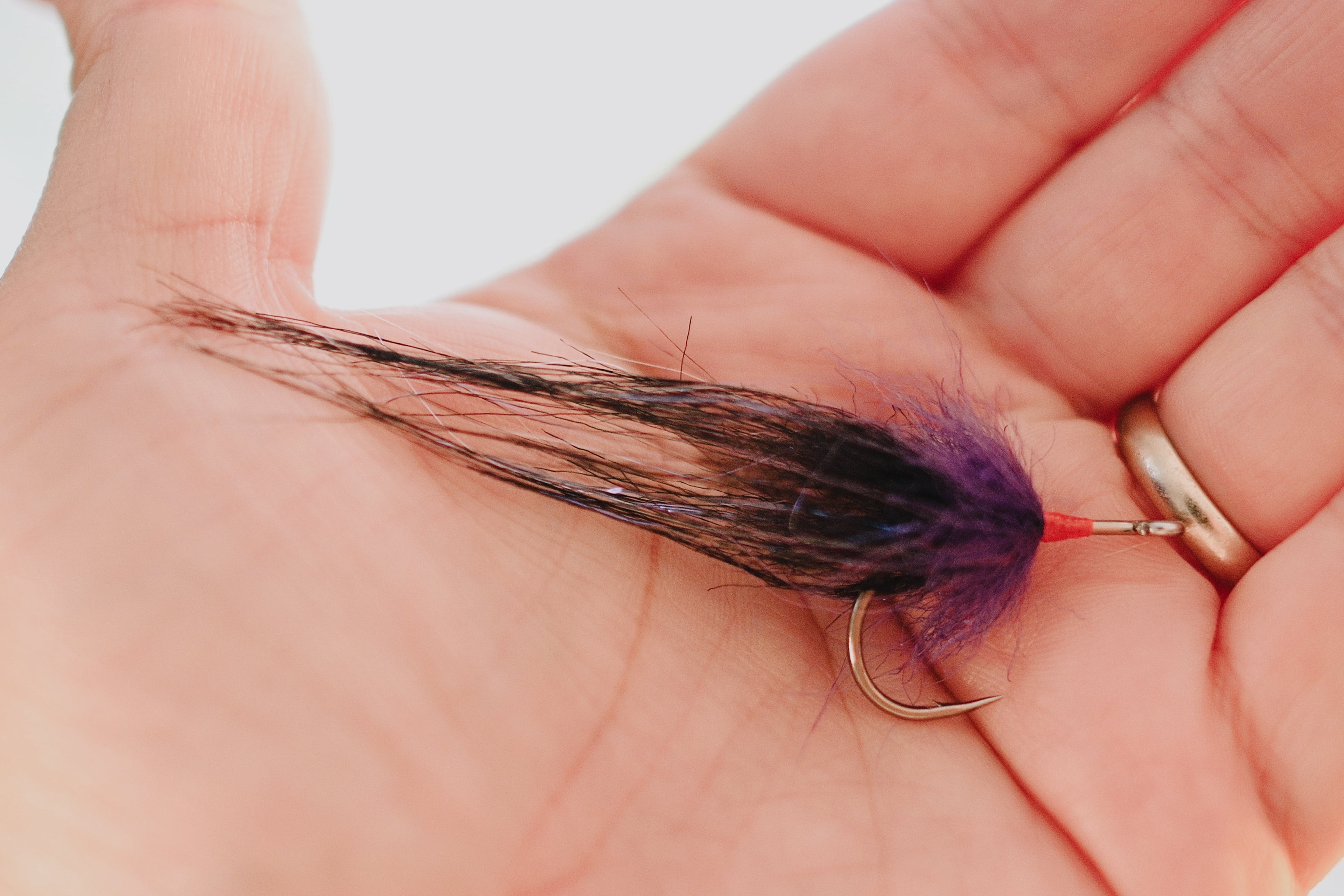Snook Tapas - In Stock