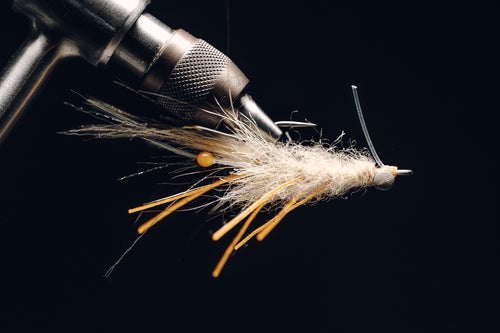 Coyote Mantis