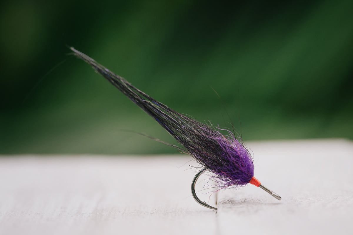 Snook Tapas - In Stock