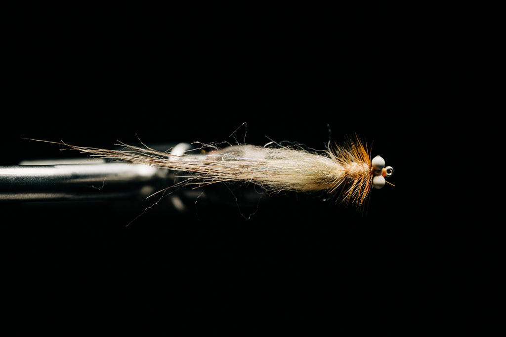 No Name Shrimp