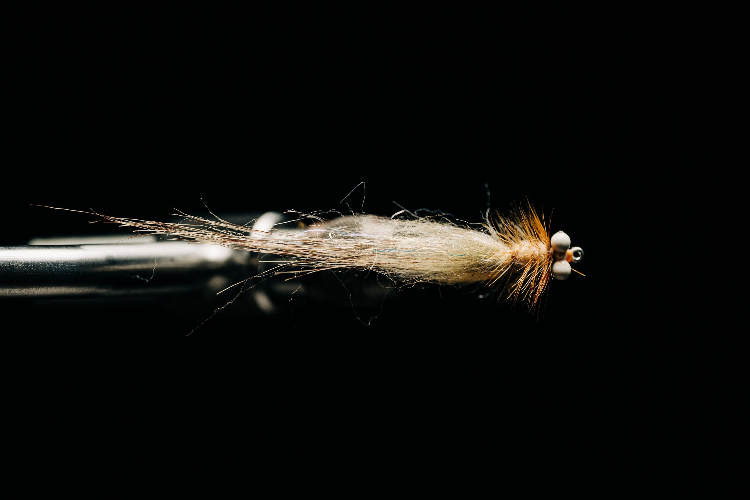 No Name Shrimp