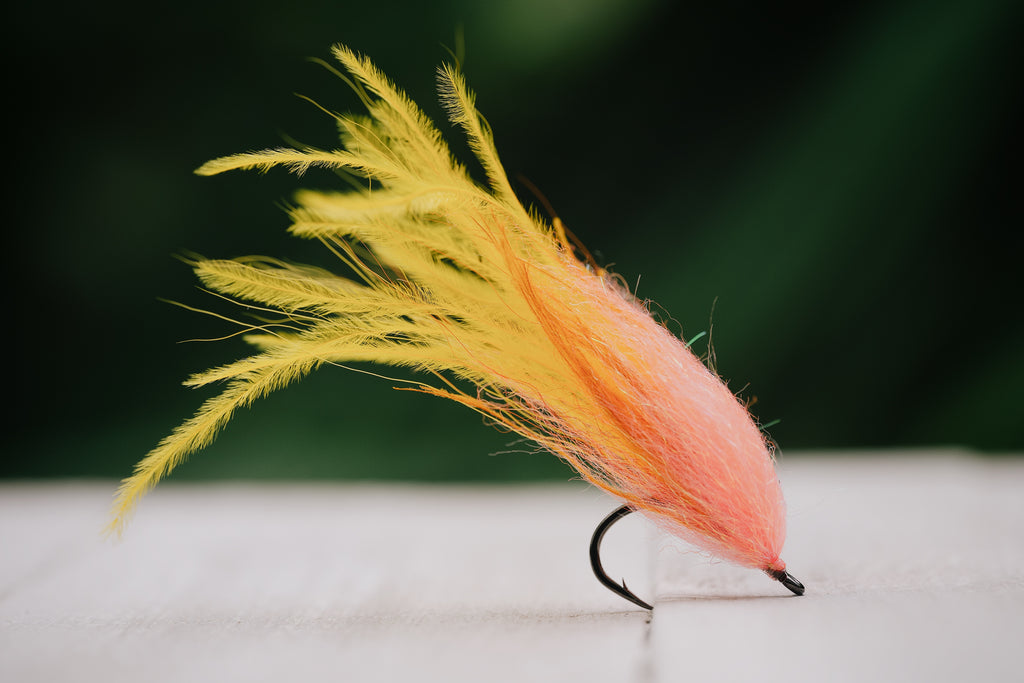 Taper Bug - In Stock
