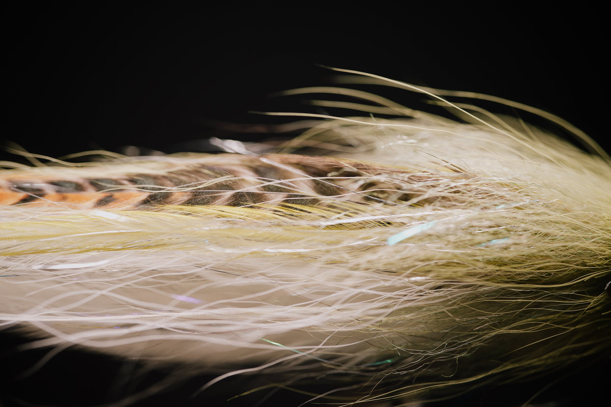 closeup photo of the high quality bucktail and saddle hackle used in the Beach Mullet tarpon fly by Two Aught