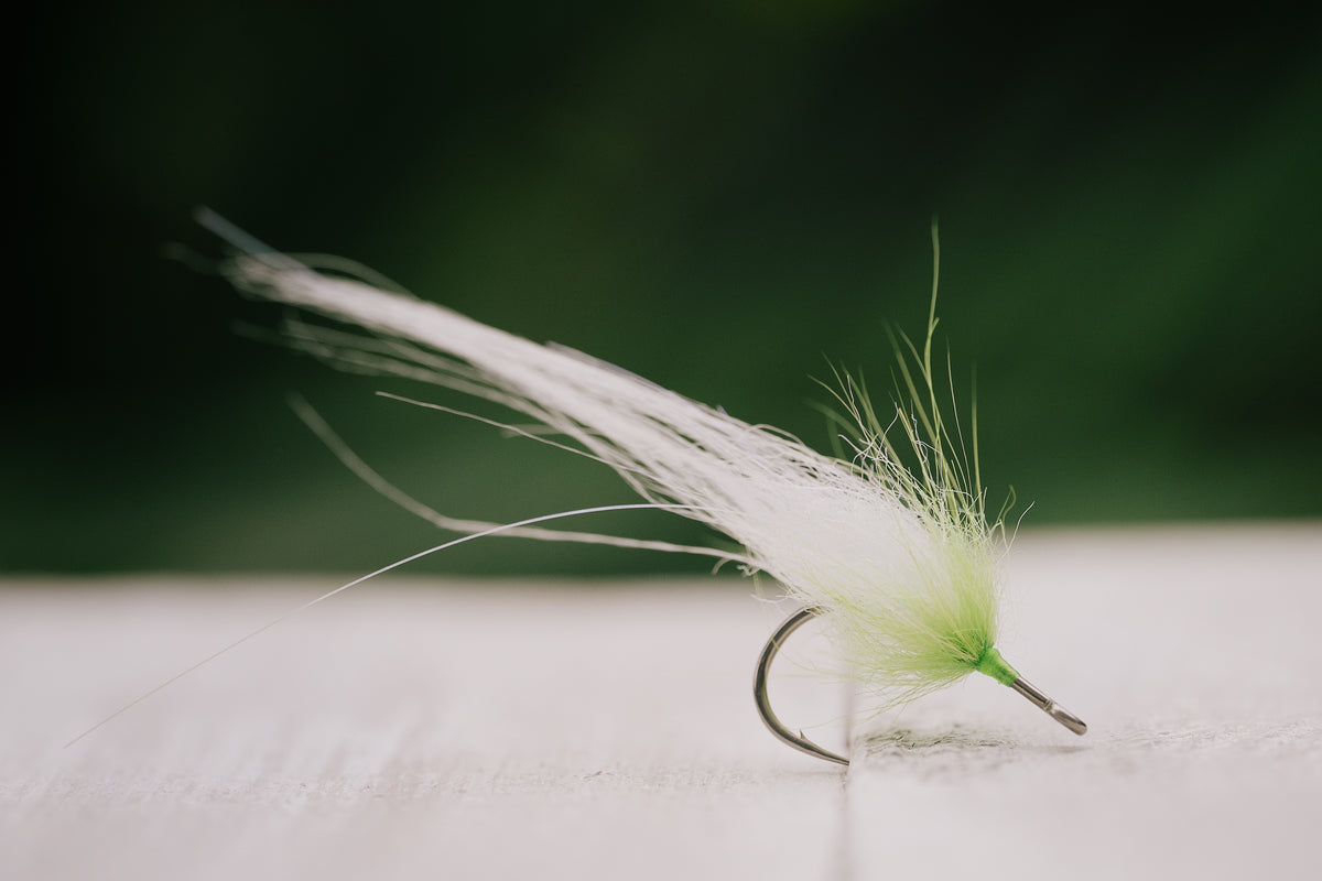 Snook Tapas - In Stock