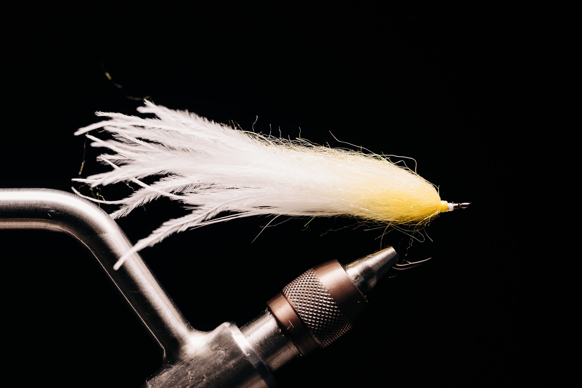 Taper Bug