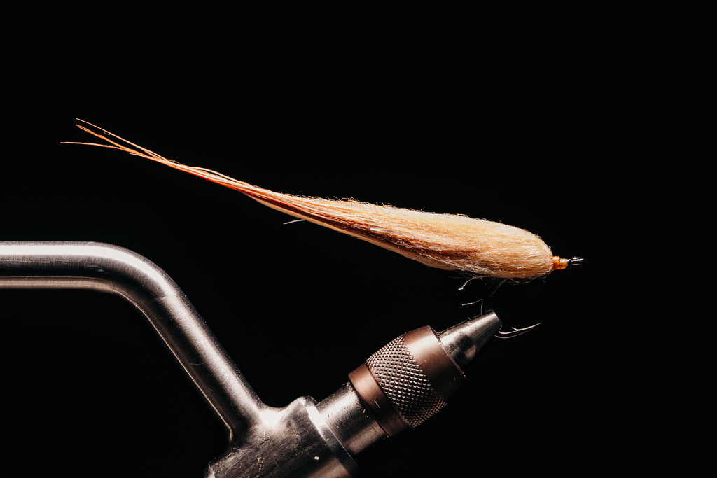 Taper Bug