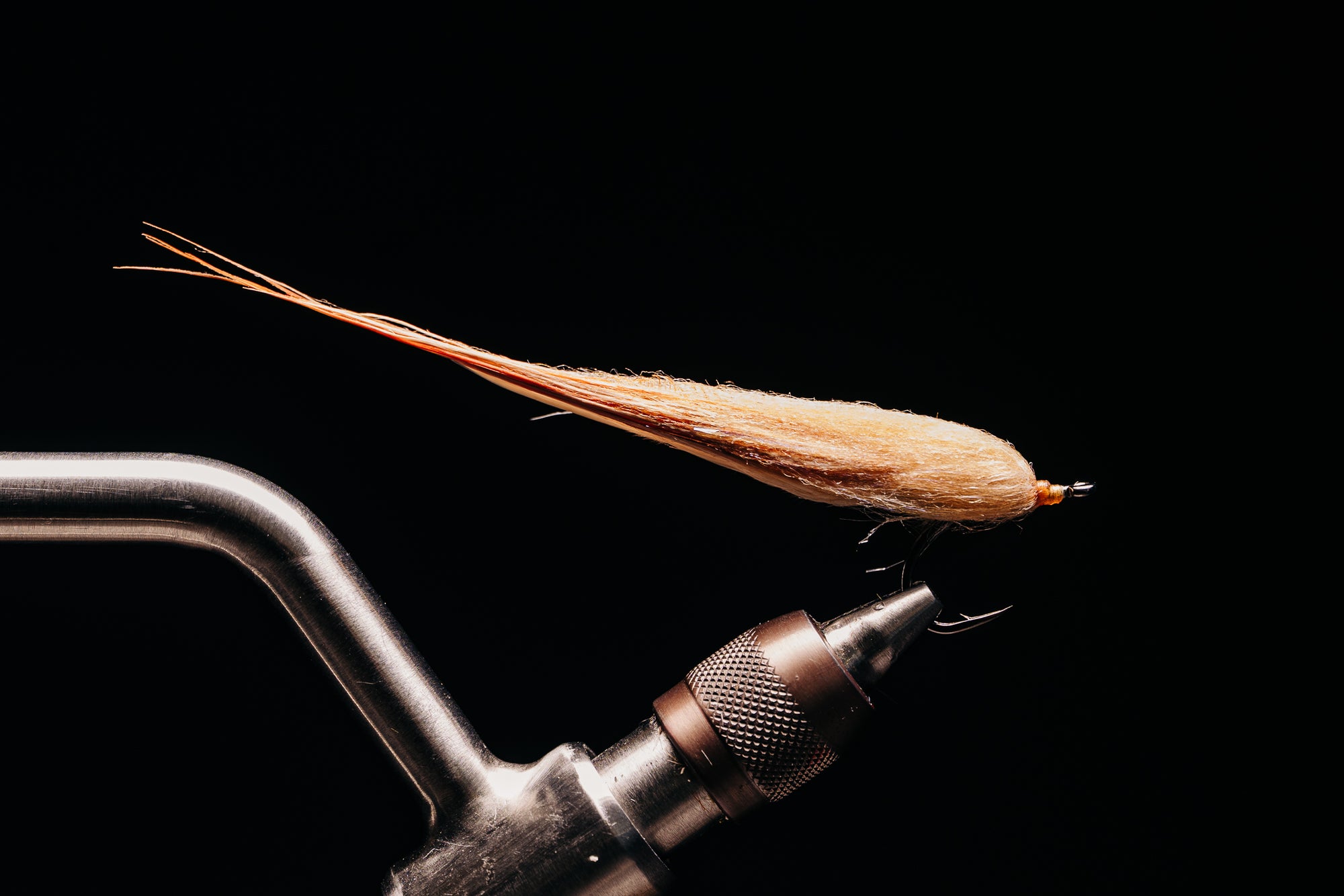 Taper Bug