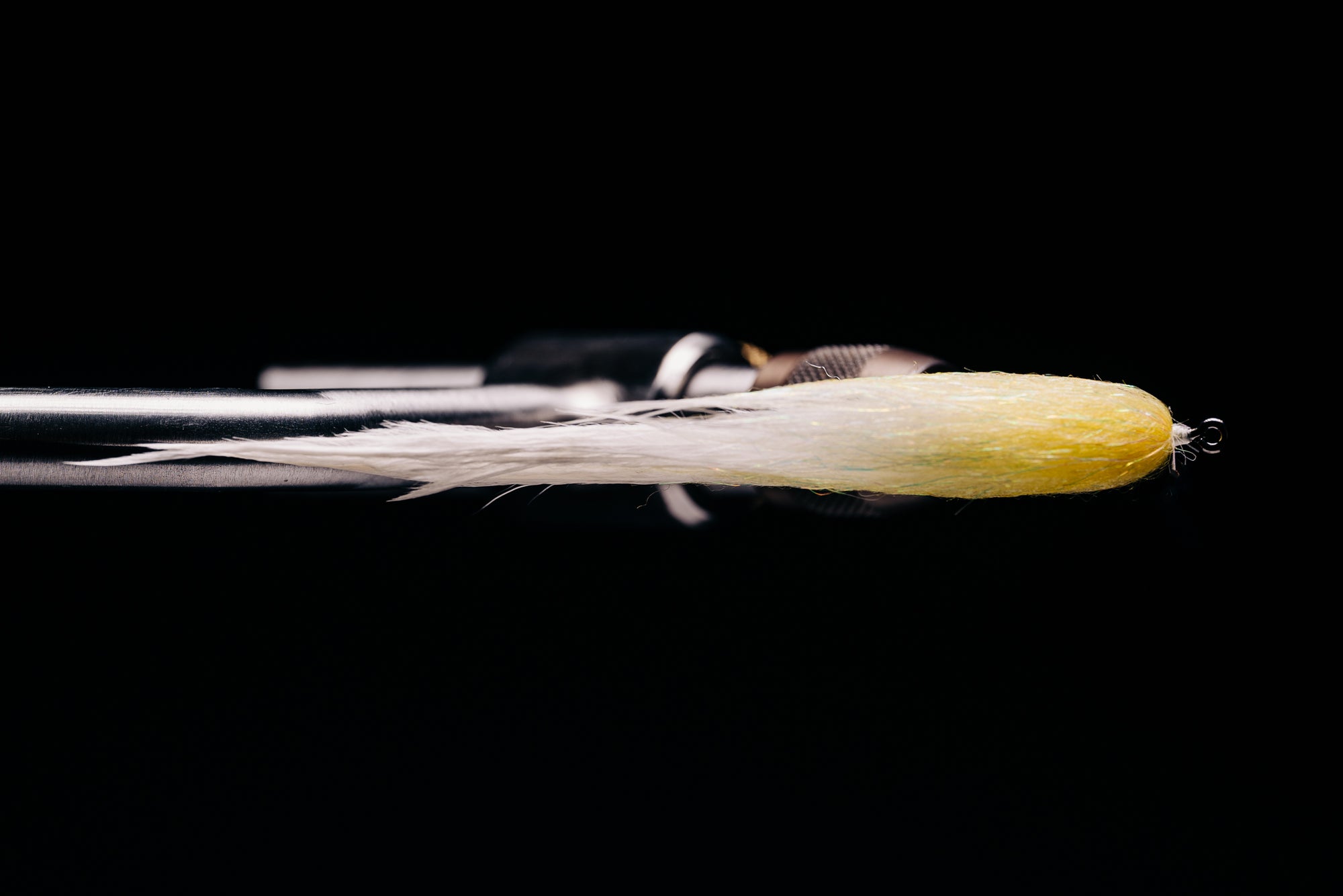 Taper Bug