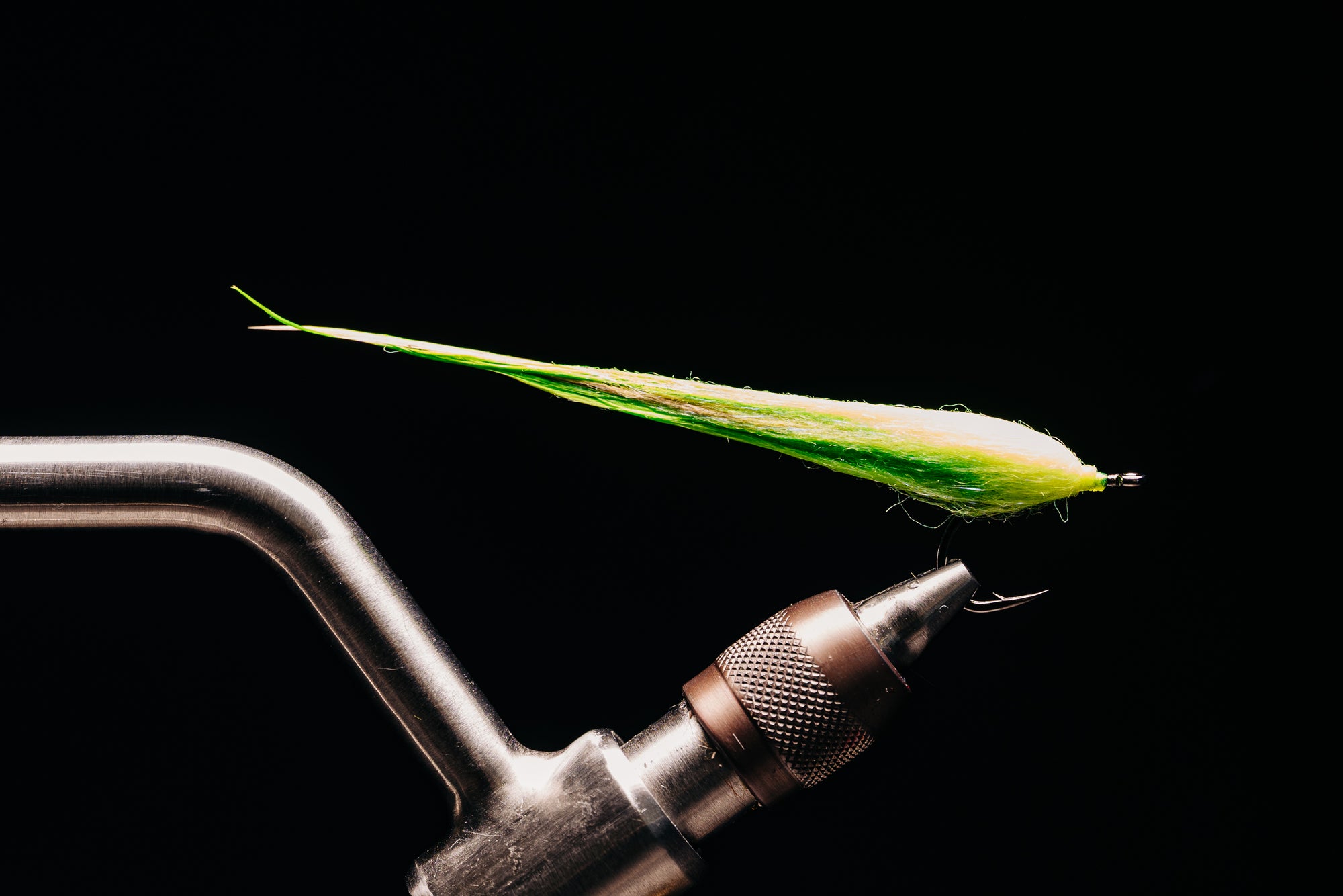 Taper Bug