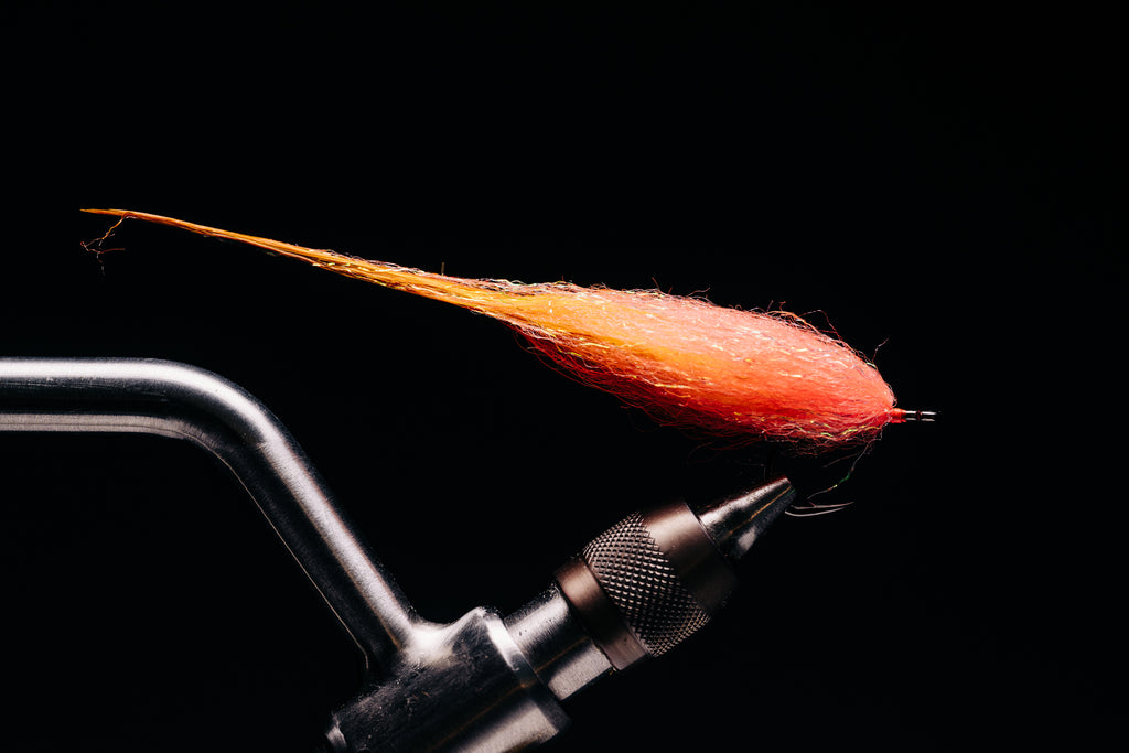 Taper Bug