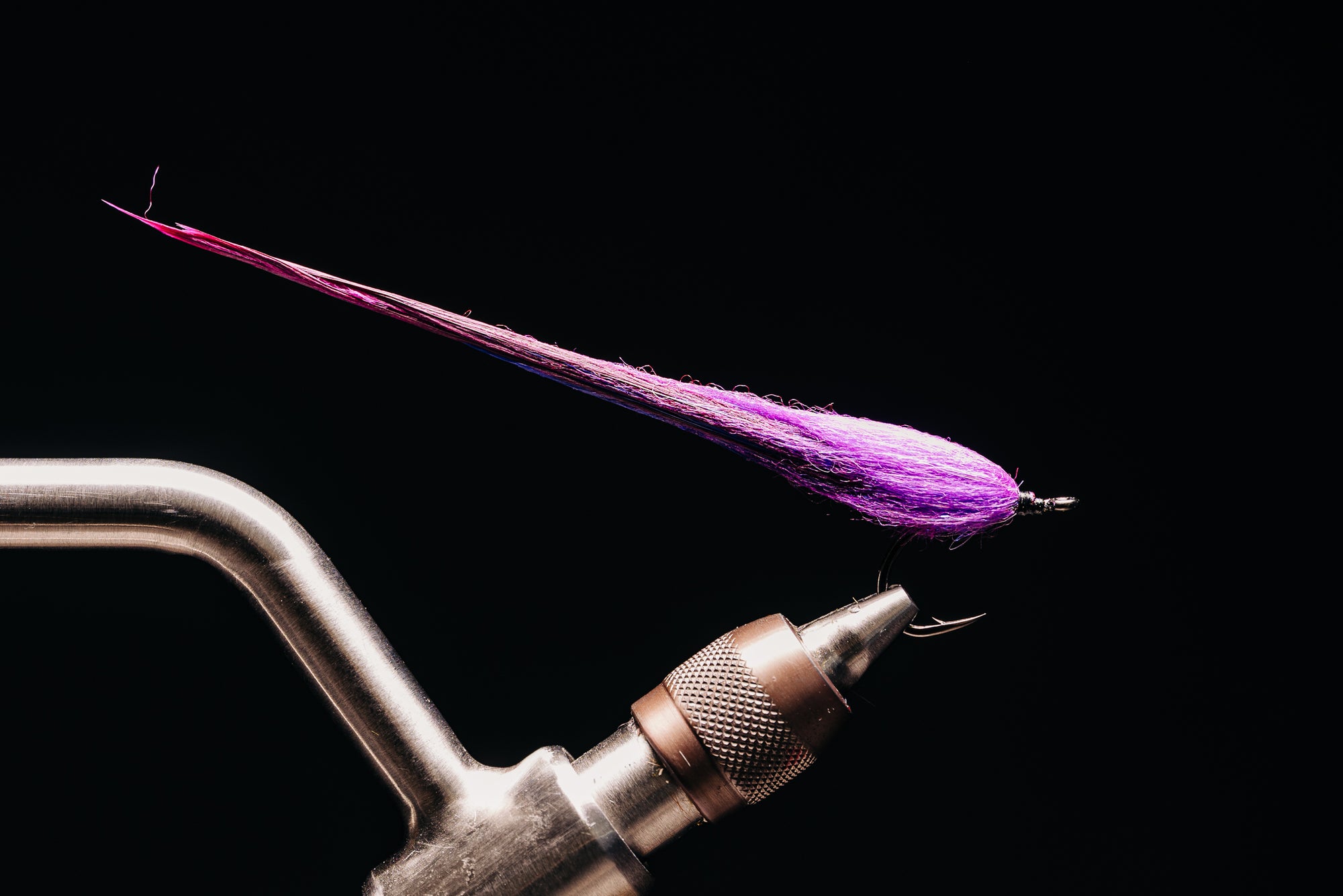 Taper Bug