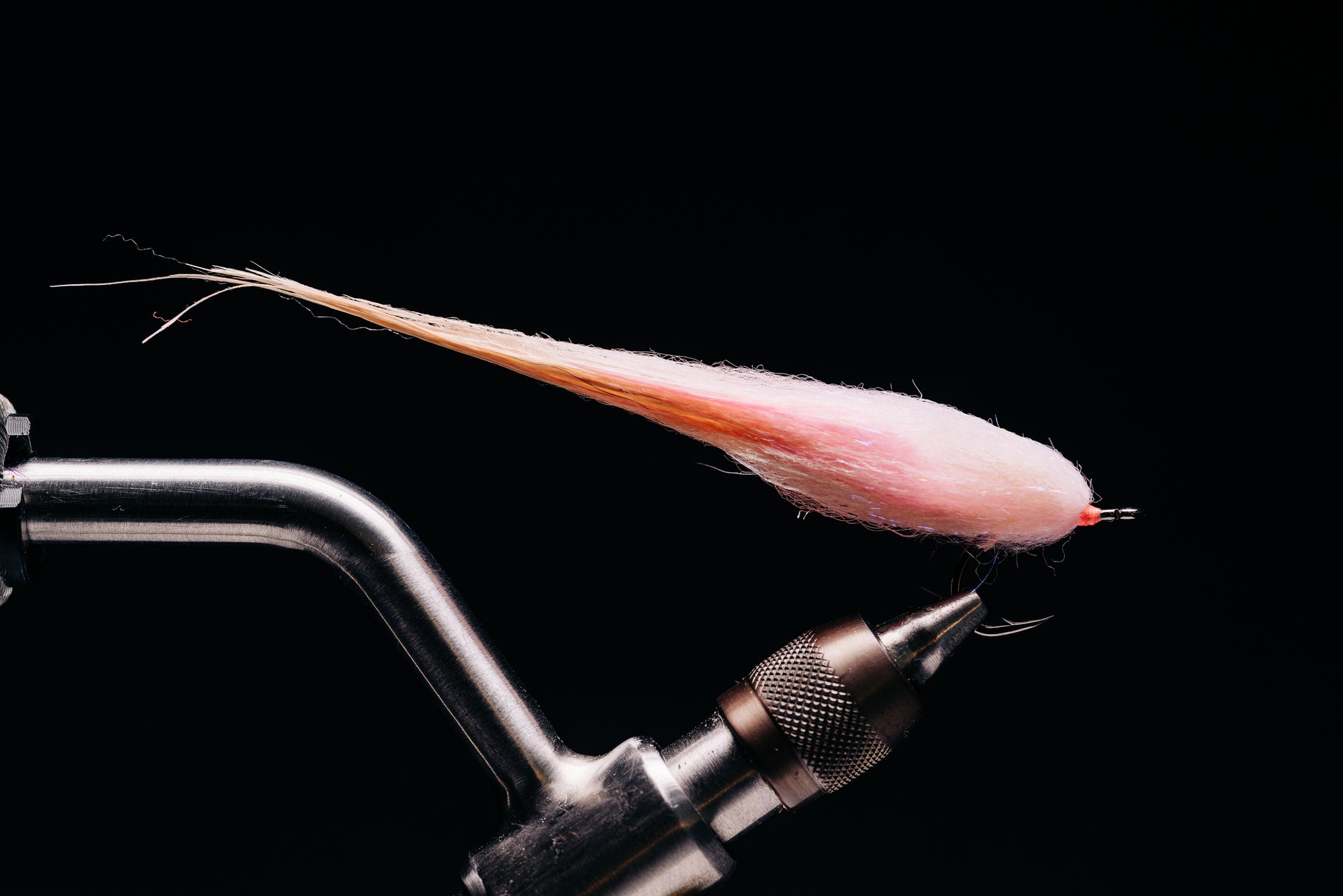 Taper Bug