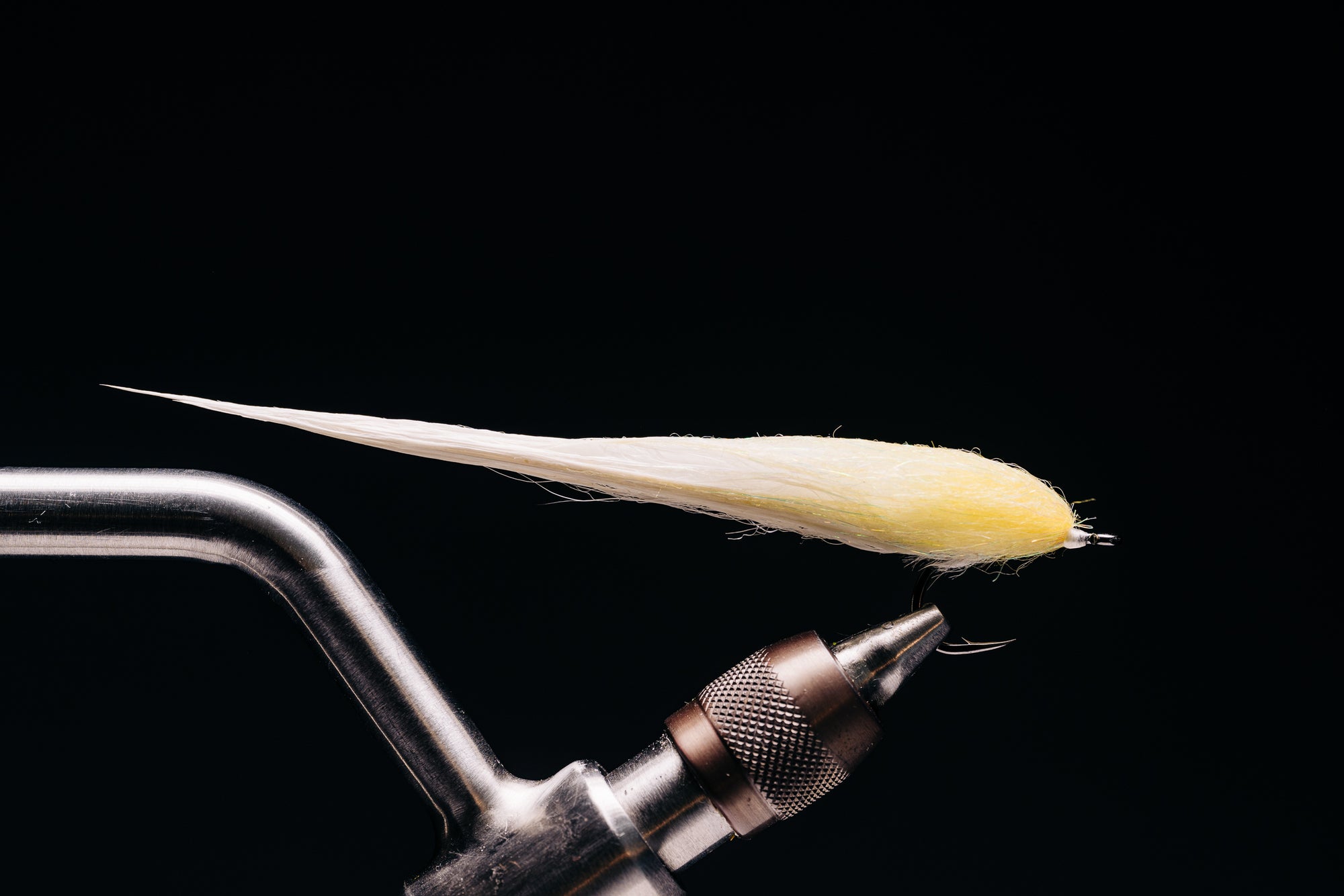 Taper Bug