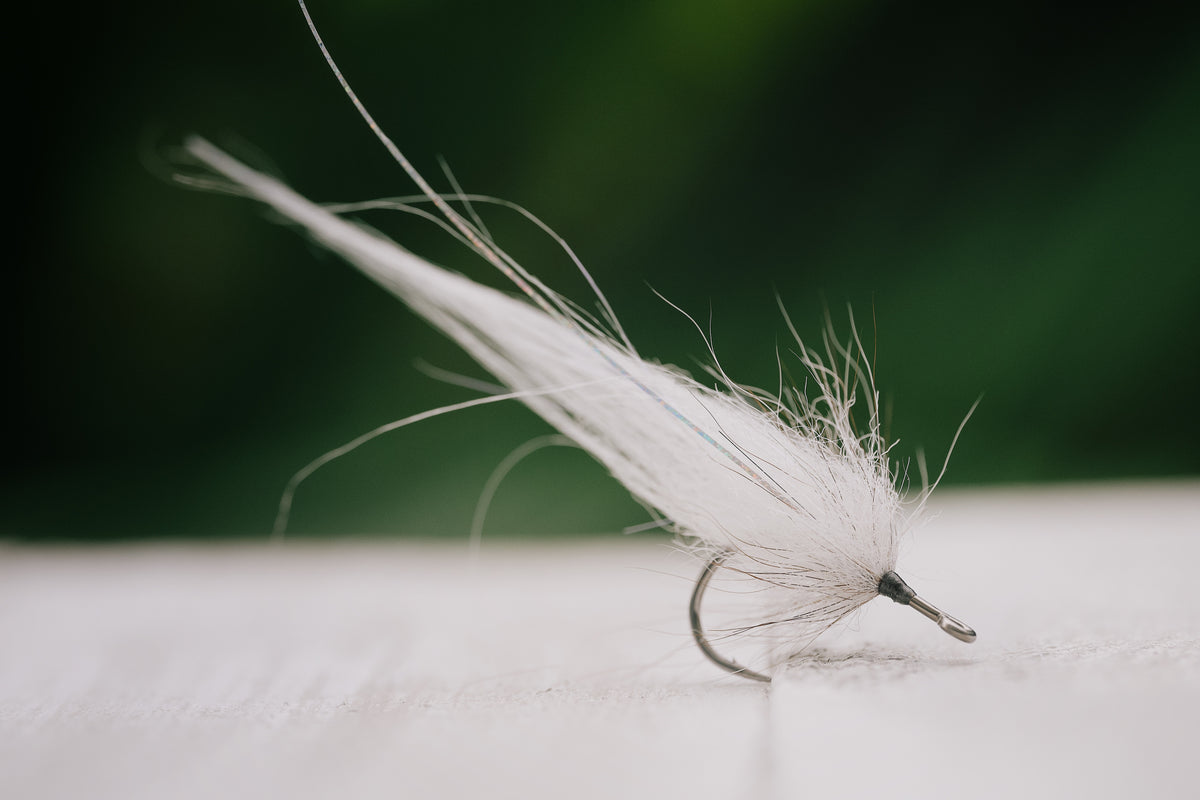 Snook Tapas - In Stock