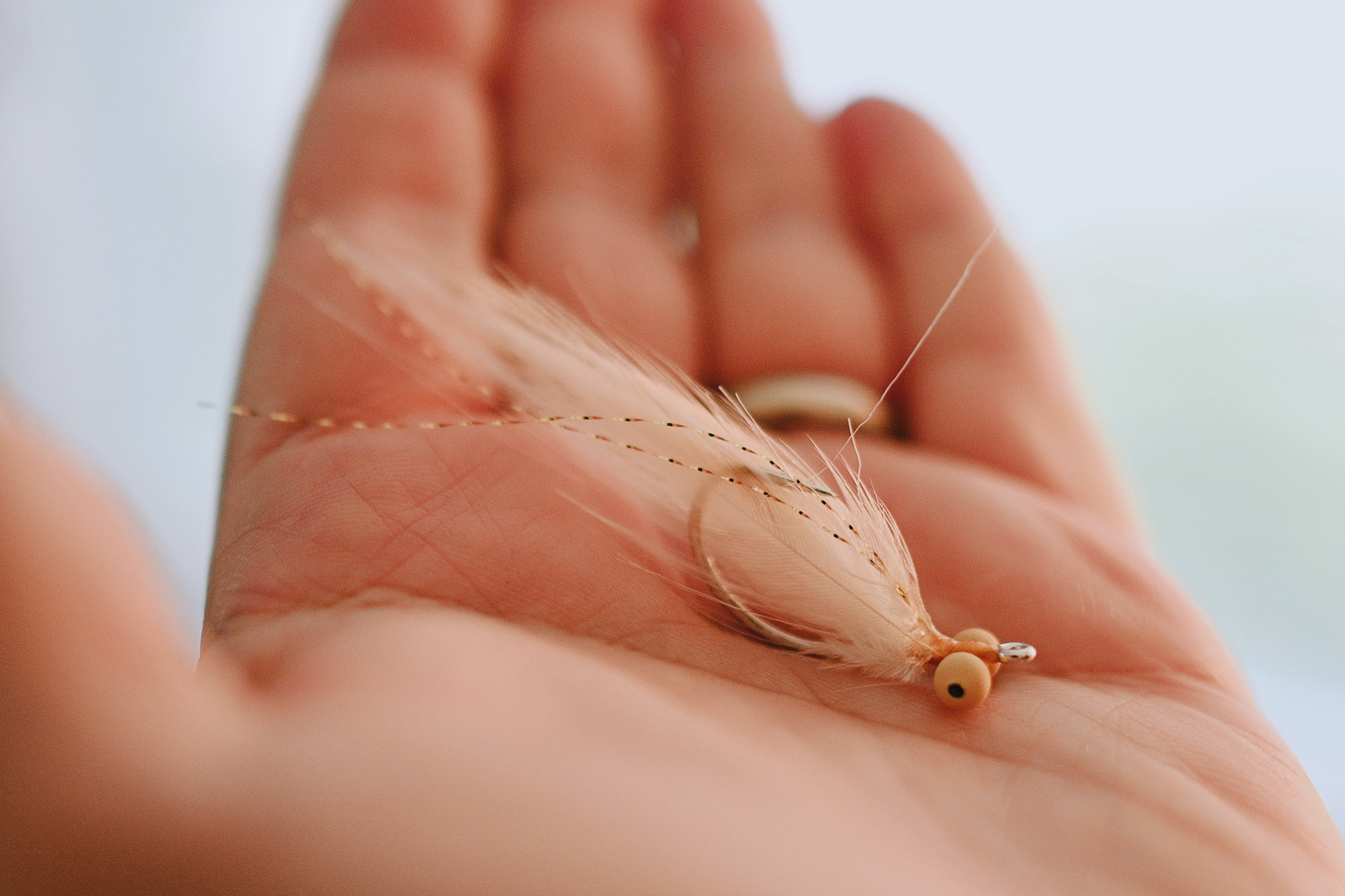 Beach Shrimp - In Stock