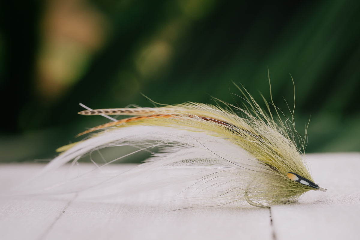Late Season Beach Mullet - In Stock