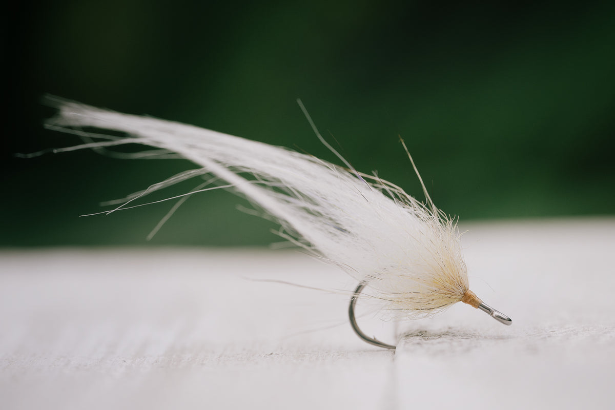 Snook Tapas - In Stock