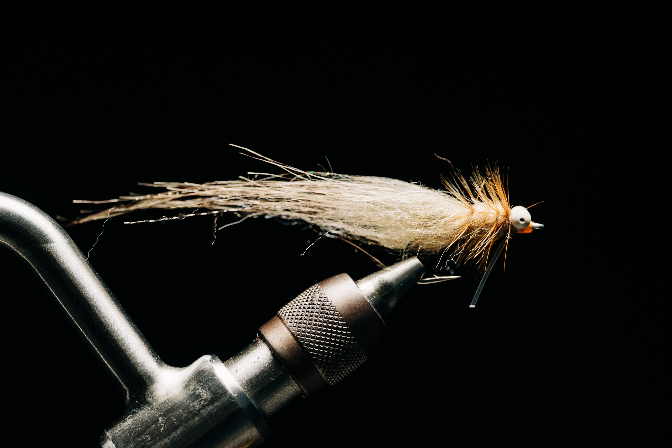 No Name Shrimp