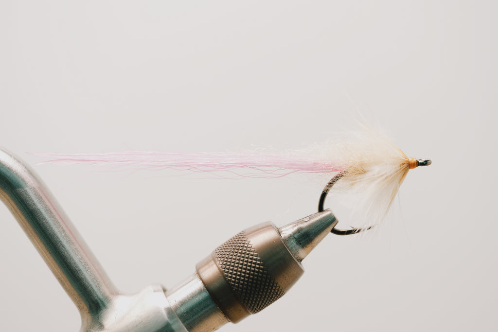 Worm