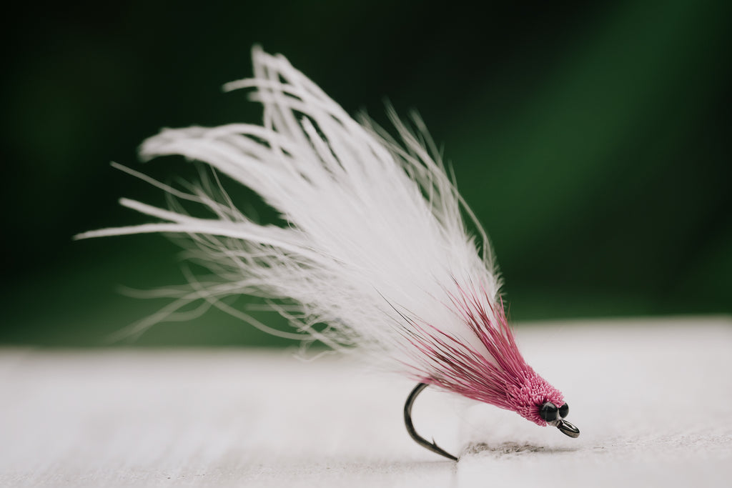 Mouse - In Stock