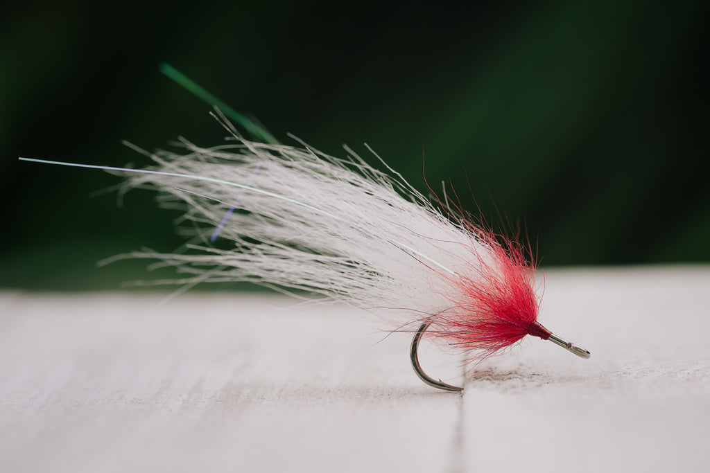 Snook Tapas - In Stock