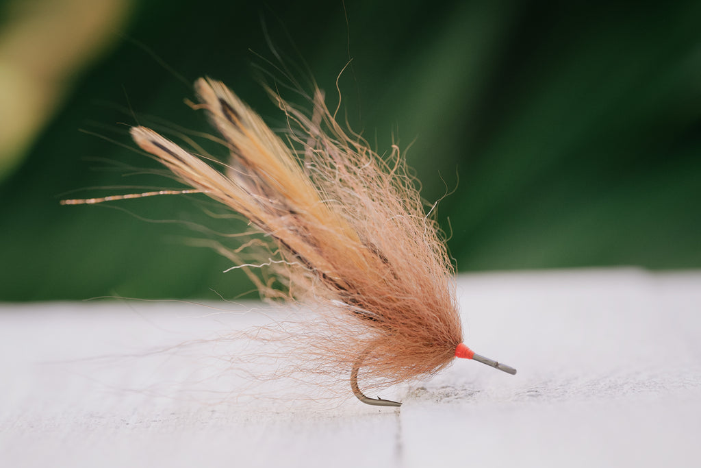 the Foxy Bug tarpon fly in brown colorway tied by Josh Idol of Two Aught Fly Fishing Co