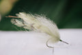 the Foxy Bug tarpon fly in olive colorway tied by Josh Idol of Two Aught Fly Fishing Co