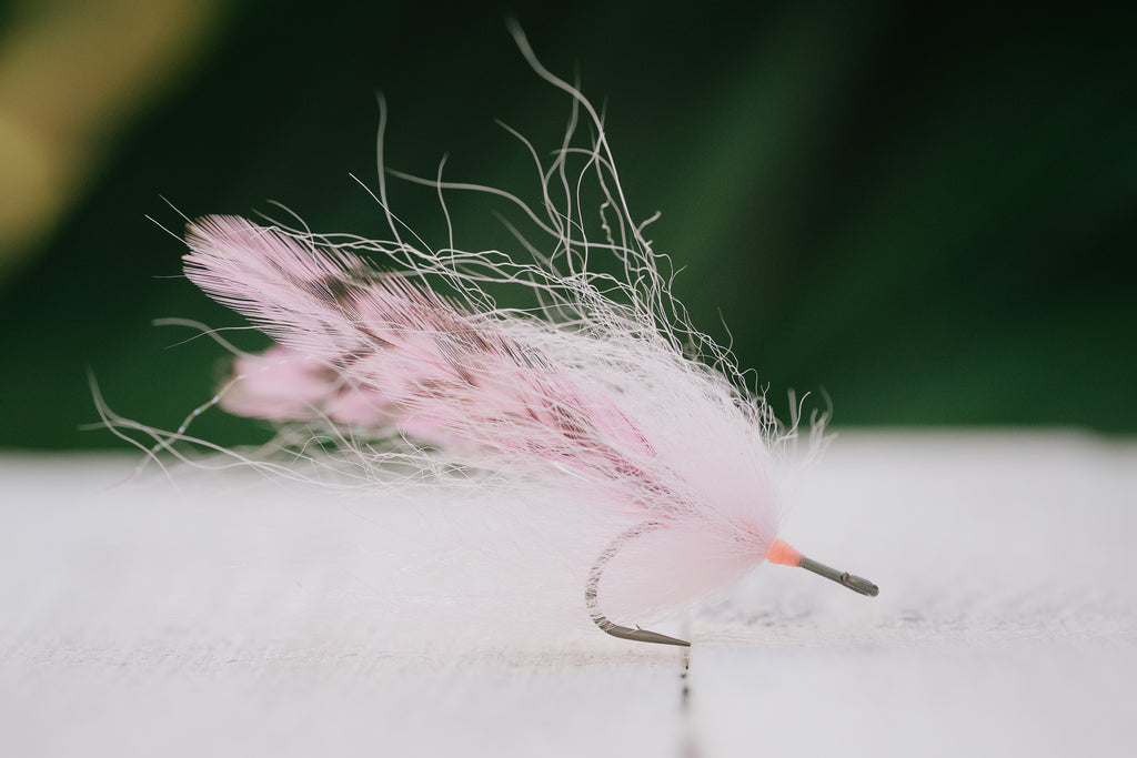 the Foxy Bug tarpon fly in white pink tied by Josh Idol of Two Aught Fly Fishing Co