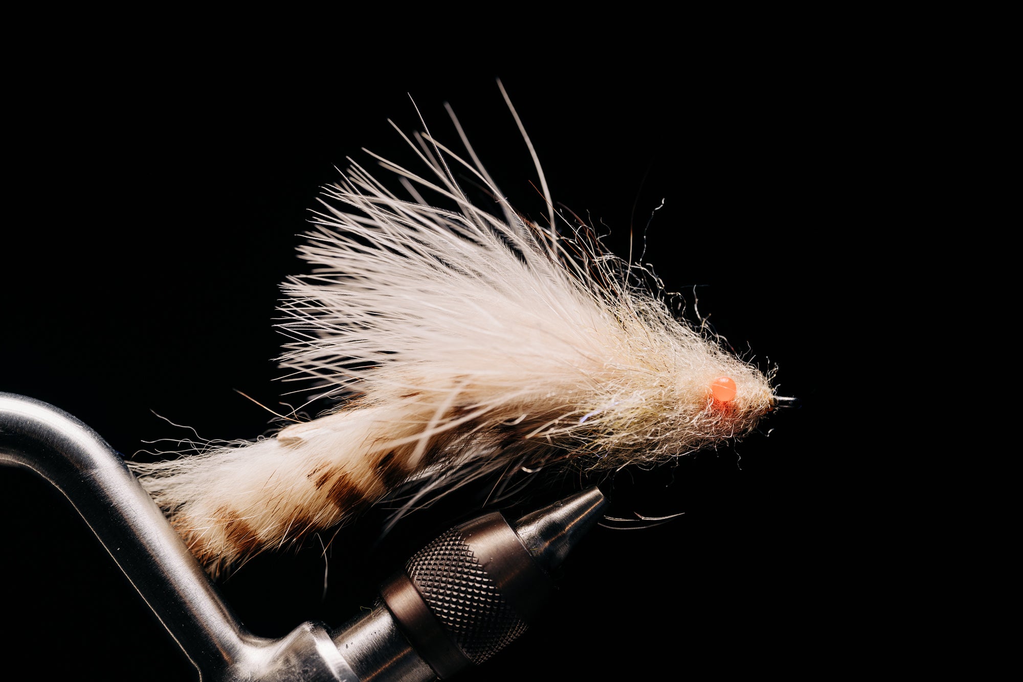 Bunny Shrimp