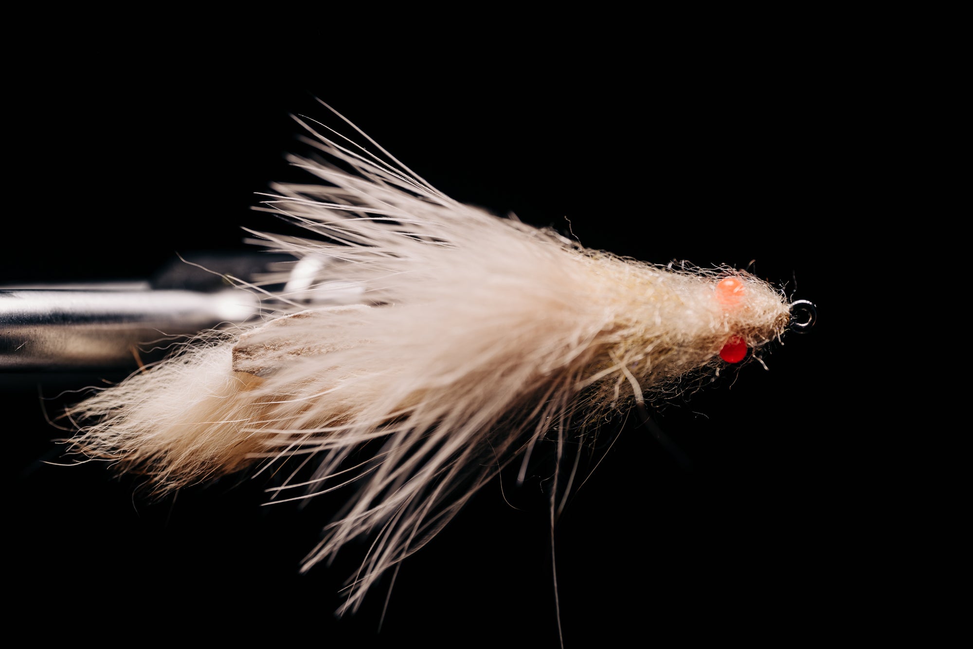 Bunny Shrimp