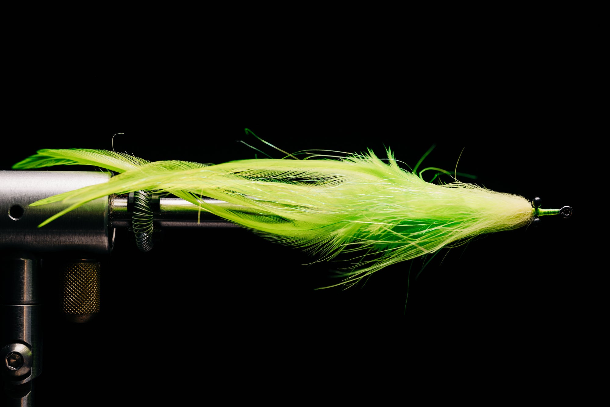 Needlefish