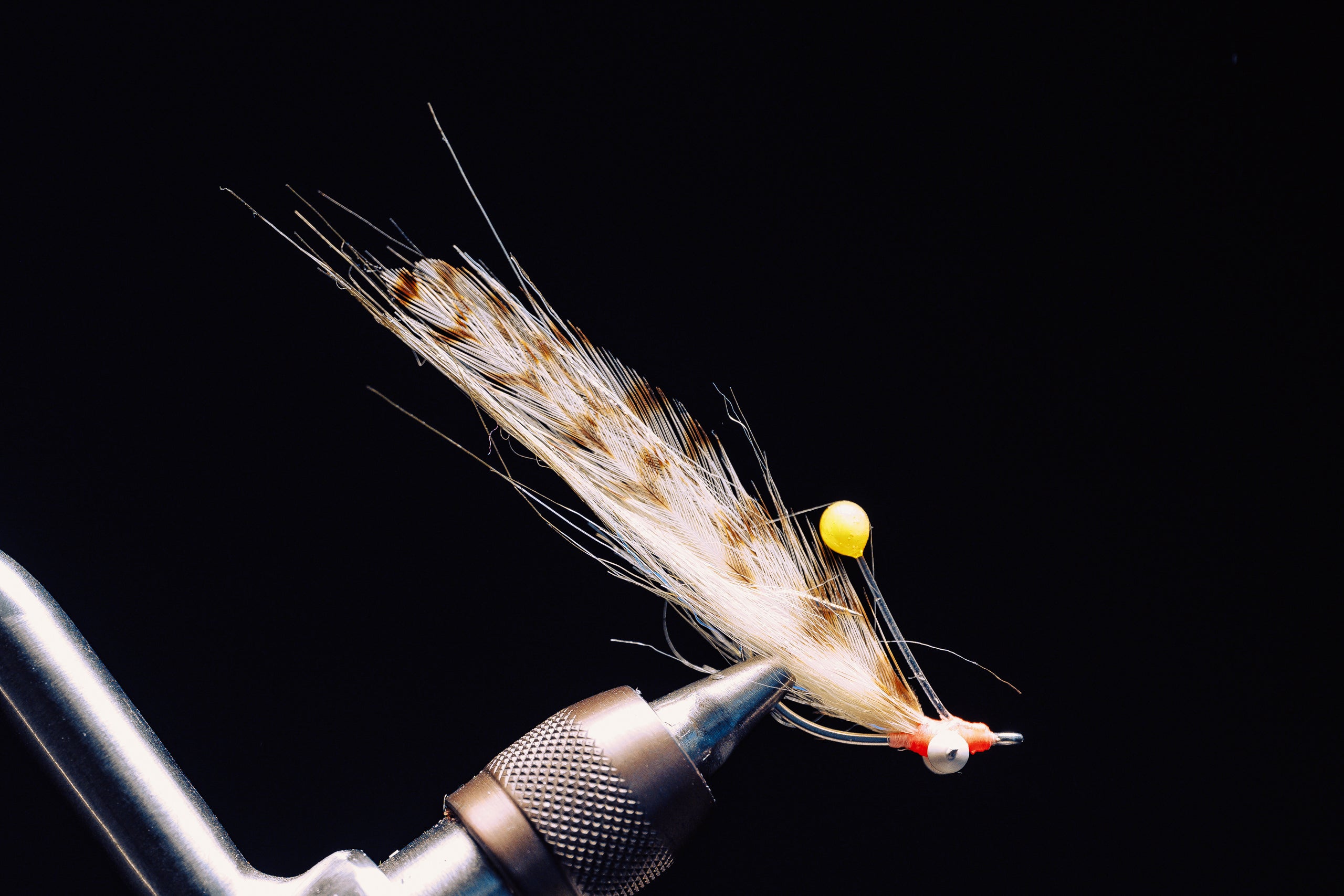 Doc Hall's Tailing Shrimp