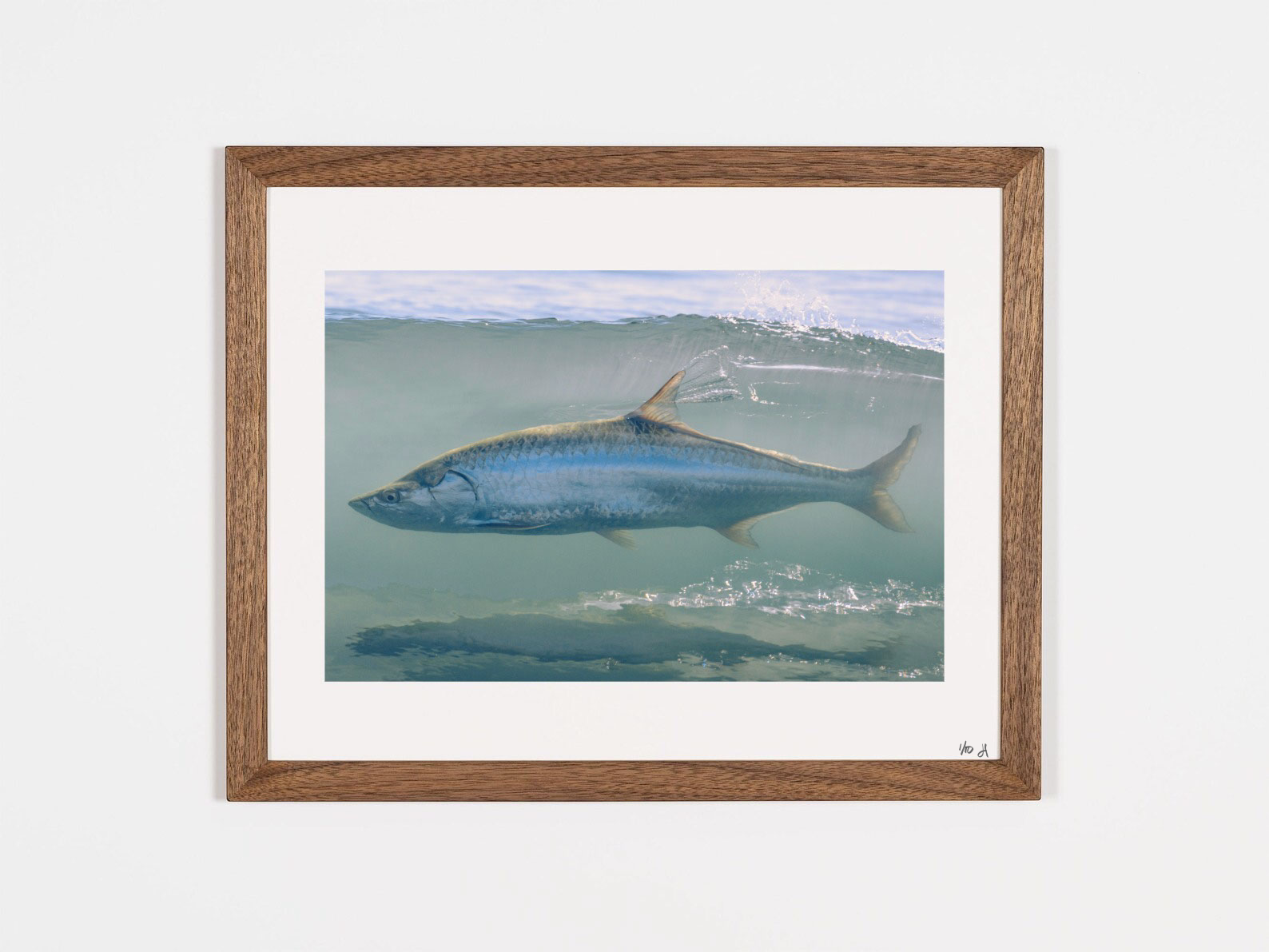 “Beach Tarpon” - Limited Edition Print