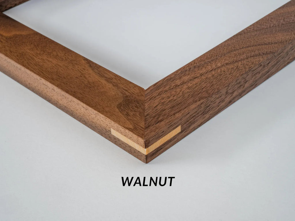 “Beach Tarpon” - Limited Edition Print