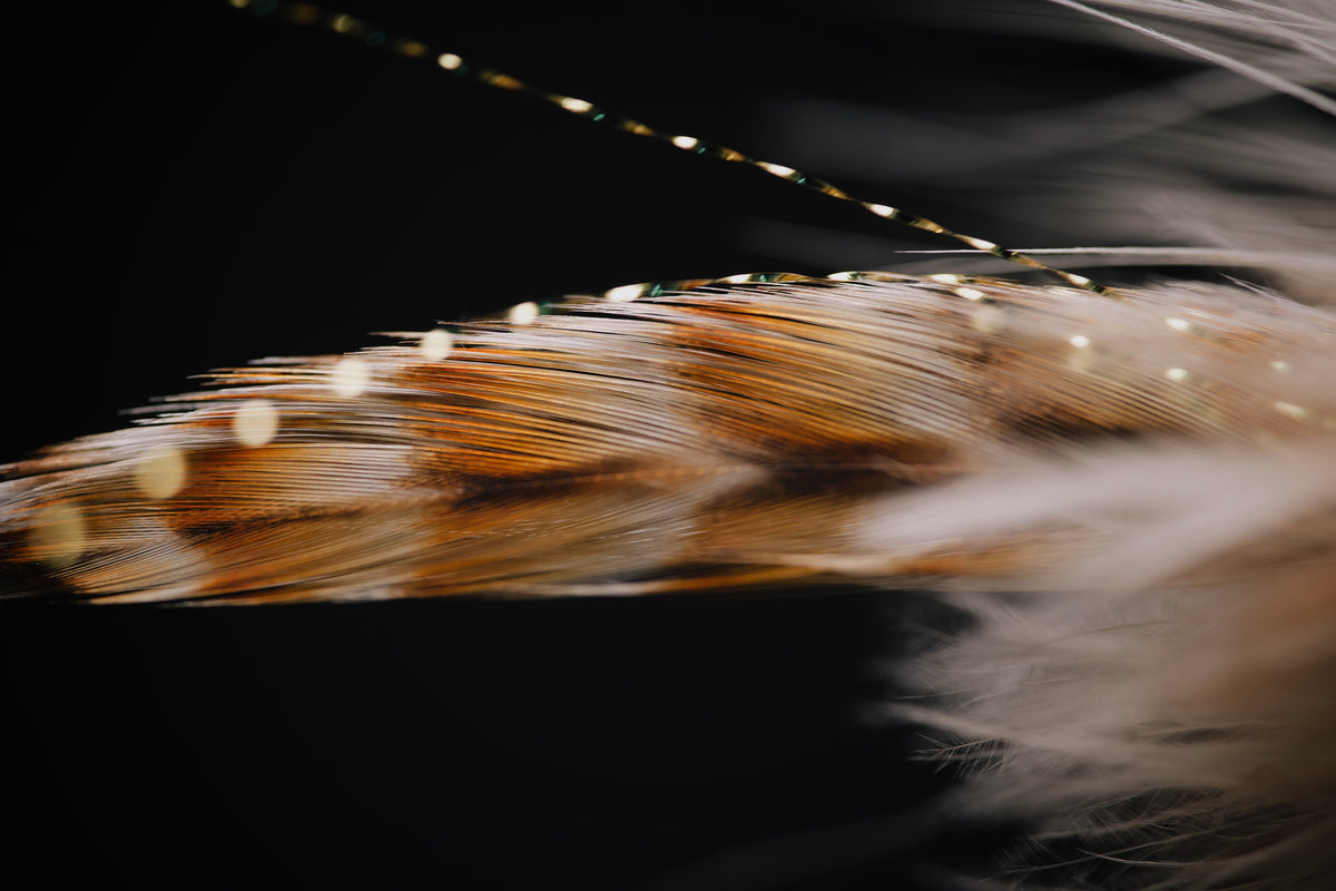 a macro photo of the beautiful Sideling Hill hackle used in the Run Around Sue tarpon fly tied by Josh Idol of Two Aught Fly Fishing Co
